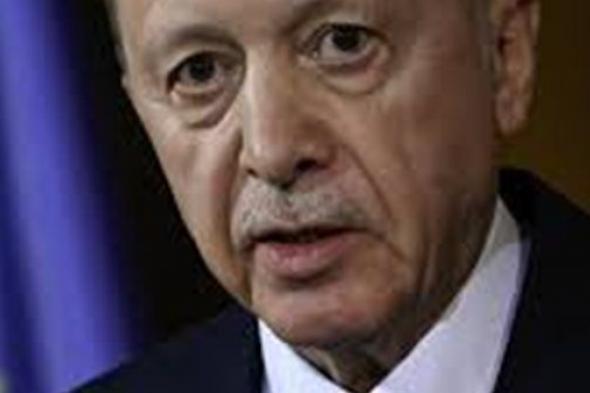 أردوغان: لا يمكن لإسرائيل الاستقرار والسلام ما لم تقبل حلّ الدولتين