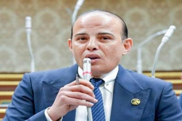 قادرون على حفظ أمننا القومي.. برلماني: مصر لن تقف مكتوفة الأيدي أمام المخططات الصهيونية