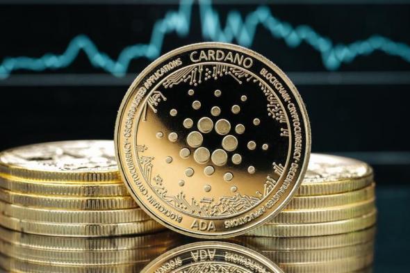 شبكة كاردانو تشهد ازدهار في القيمة المقفلة TVL وقيمة العملات المستقرة القائمة عليها