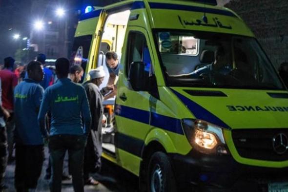 الضحية في غيبوبة.. سائق يدهس فتاة ببرج العرب