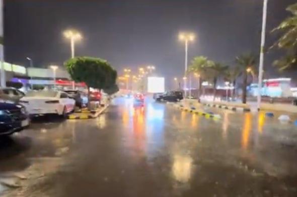 بالفيديو.. أمطار متوسطة ورياح شديدة على أنحاء من العاصمة الرياض