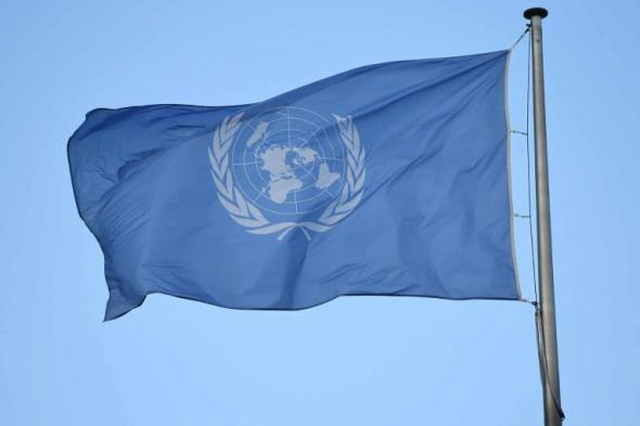 الأمم المتحدة: سلطات الكيان تحظر دخول مقررة حقوق الإنسان للأراضي المحتلة