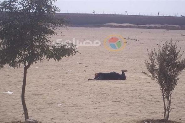 قصة الشجرة المبروكة.. نساء يتدحرجن على الرمال في المنيا- صور