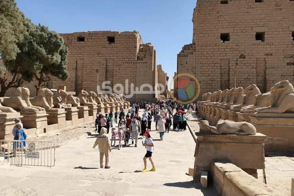 انتعاش السياحة المصرية رغم الأزمات.. ماذا حدث في شهر ونصف؟