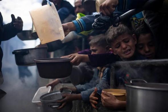 الأسبوع في 8 صور: جوع ونزوح في غزة.. واشتعال معركة البرتقال في إيطاليا