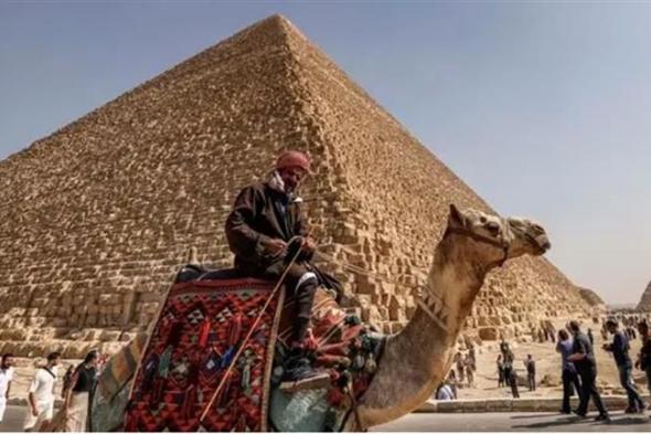 ظهور نادر وأسباب مدهشة.. سر غياب الجمل عن حضارة مصر القديمة