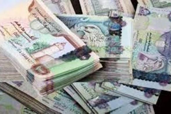 رفض طعن لمتهمة بالاستيلاء على 8000 درهم