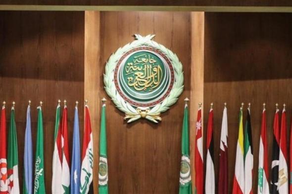 الأمين العام للجامعة العربية يستنكر الفيتو ضد مشروع قرار وقف إطلاق النار في غزة