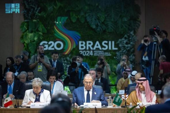وزير الخارجية يطالب مجموعة العشرين بالتحرك لإنهاء كارثة غزة
