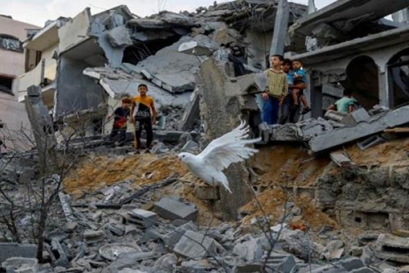 “صحة غزة”: الاحتلال ارتكب 10 مجازر خلال آخر 24 ساعة راح ضحيتها 104 شهداء و160 مُصابًا