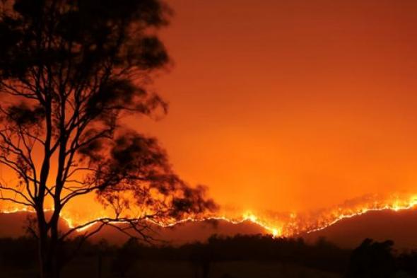 إخلاء مناطق جراء حريق غابات في أستراليا