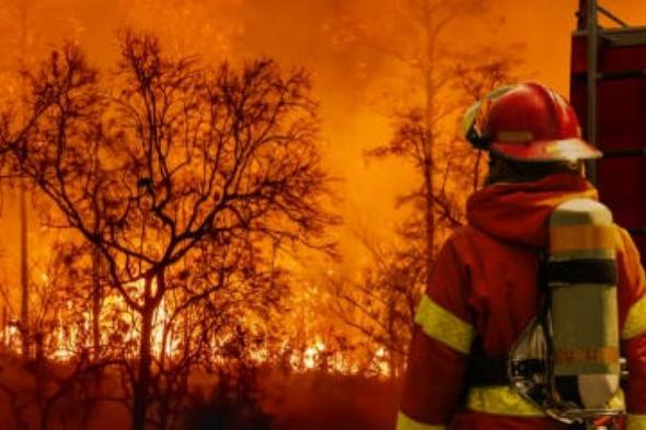حرائق الغابات تدمر عددًا من المنازل في أستراليا