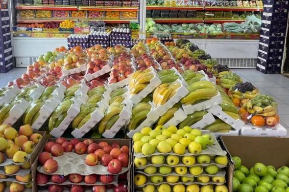 السعودية | “البيئة “تنفذ 5738 جولة رقابية على أسواق النفع العام والمسالخ بـ 13 منطقة وتؤكد وفرة السلع والمنتجات الغذائية