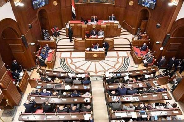 إنزال جوي لإغاثة غزة.. برلماني: مصر تسعى لتخفيف معاناة الفلسطينيين بكل السُّبل