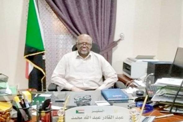 قنصل السودان اسوان يدعو المواطنين للإسراع في إستخراج المستندات الرسمية