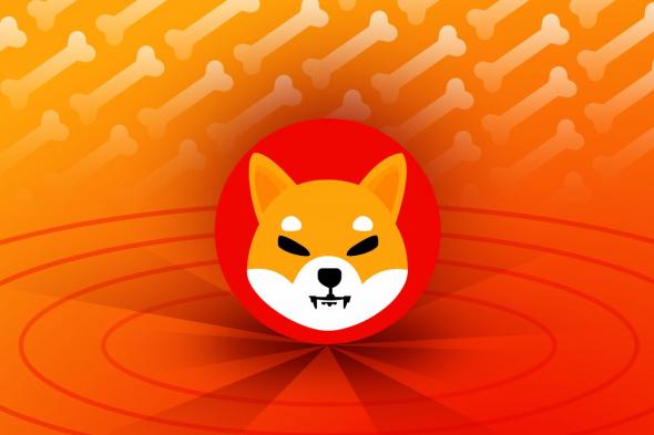 إنفجار أسعار عملات الميم DOGE و SHIB: التفاصيل هنا