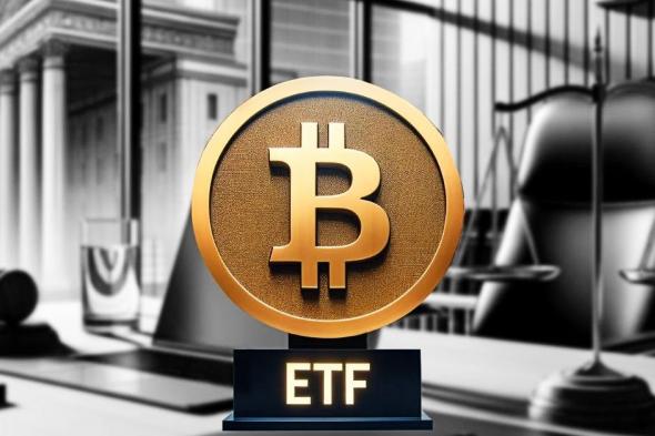 هل زيادة حجم التداول في صناديق ETF البيتكوين هو السبب في ارتفاع سعر البيتكوين؟