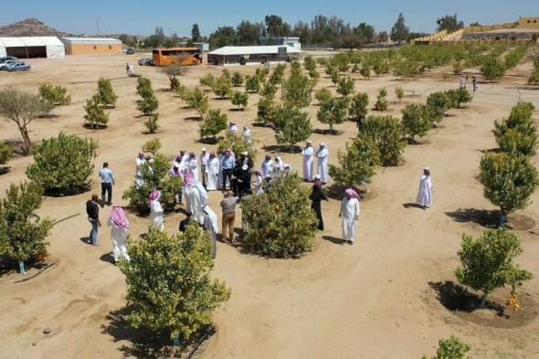 عسير.. ورشة عمل تناقش الزراعة بالمياه المجدّدة في وادي بن هشبل