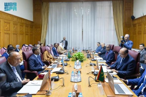 وزير الخارجية يشارك في اجتماعين عربيين بشأن دعم الصومال وتدخلات تركيا