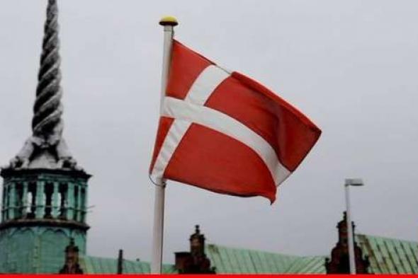منظمات غير حكومية تقاضي الدنمارك لكي توقف صادرات الأسلحة إلى إسرائيل
