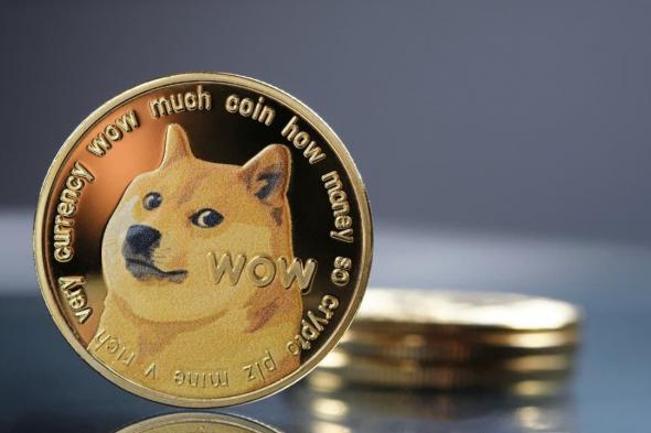 عملة DOGE تسجل ارتفاع يومي بنسبة 5٪ والبيتكوين تستقر عند 65 ألف دولار