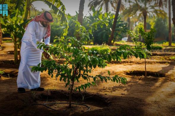 السعودية | تحديد 27 مارس يوماً لمبادرة السعودية الخضراء بهدف التوعية بجهود العمل البيئي وتعزيز الاستدامة