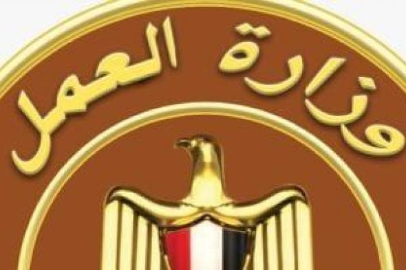 مديرية العمل ببورسعيد تجرى زيارات ميدانية لمتابعة حقوق العمالة غير المنتظمة