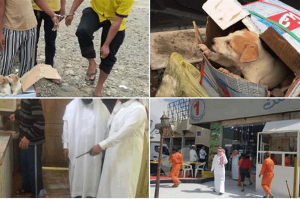 السعودية.. الكشف عن حقيقة بيع لحوم الكلاب في أحد المطاعم
