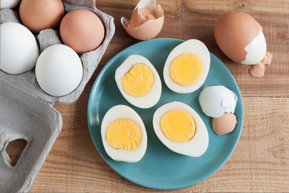 الامارات | ما هو الرقم المسموح من البيض كي لا نرفع الكوليسترول ؟
