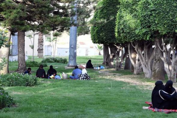 الأجواء الربيعية تجذب سكان عسير للإفطار في الحدائق العامة