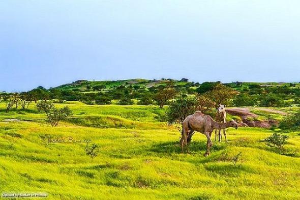 والي شمال كردفان يدشن سلة العاملين بالولاية