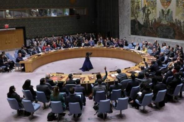 مجلس الأمن يحيل طلب عضوية فلسطين إلى اللجنة المعنية بالأعضاء الجدد