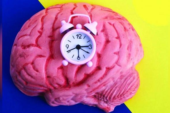 الامارات | أخصائيون: اضطراب الساعة البيولوجية  يؤثر سلباً في التحصيل الدراسي