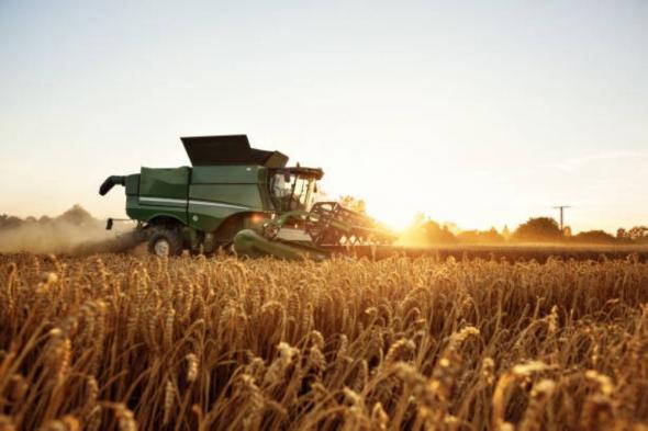 تشمل 7 ميزات.. "الأمن الغذائي" تطلق خدمة تفاعلية لمزارعي القمح المحلي
