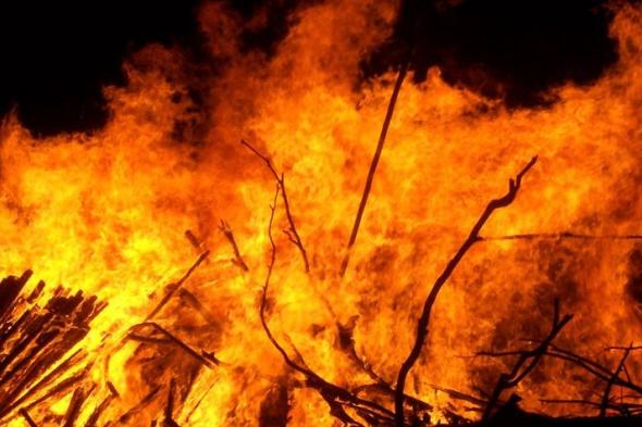 الامارات | نفوق أكثر من 200 حيوان نادر إثر اندلاع حريق بحديقة حيوان في القرم