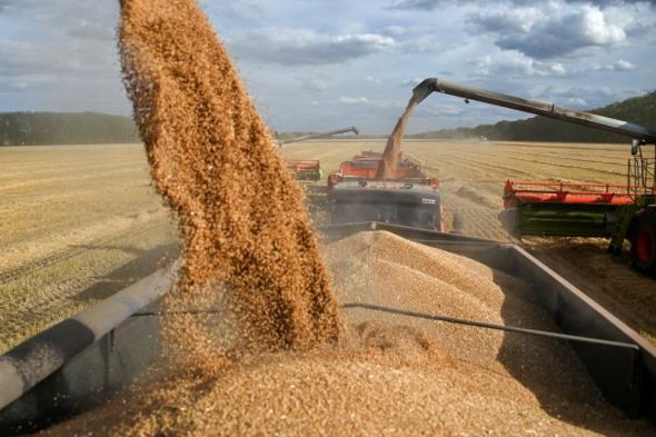 روسيا.. وضع مقترحات لتبادل الحبوب بين دول البريكس