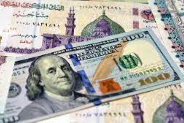 سعر الدولار مقابل الجنيه المصري في البنوك اليوم الأحد