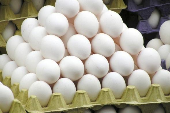 أمانة جدة تضبط موقعاً لإعادة تدوير البيض الفاسد بحي الفيصلية – صور