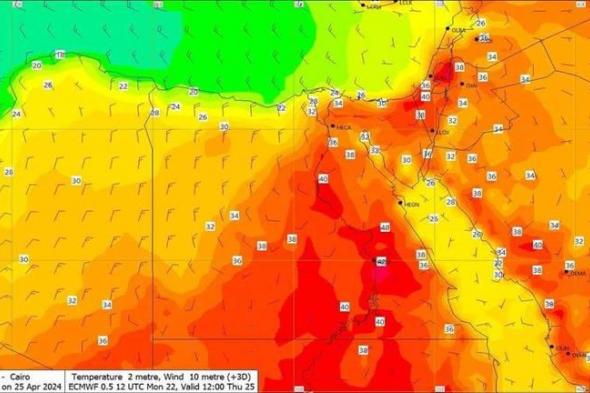 تصل لـ40 درجة مئوية.. الأرصاد تحذر من موجة شديدة الحرارة خلال الـ3 أيام القادمة