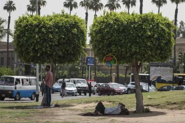 41 على القاهرة.. تفاصيل حالة الطقس اليوم الأربعاء (موجة شديدة الحرارة)