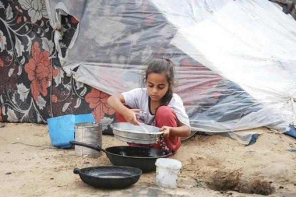 منظمة الأغذية والزراعة للأمم المتحدة لـ«الاتحاد»: سكان غزة يعيشون وضعاً غير إنساني وبحاجة لأساسيات الحياة