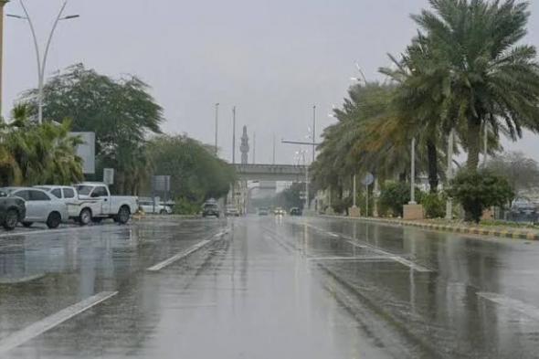 السعودية | الأرصاد”: أمطار غزيرة على محافظة شرورة