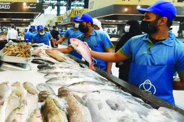 الامارات | 1571 طن أسماك حصيلة الصيد والاستزراع في أبوظبي