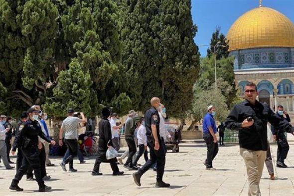 مُستوطنون يقتحمون الأقصى بحماية الاحتلال واعتقال 30 فلسطينيًا من الضفة الغربية