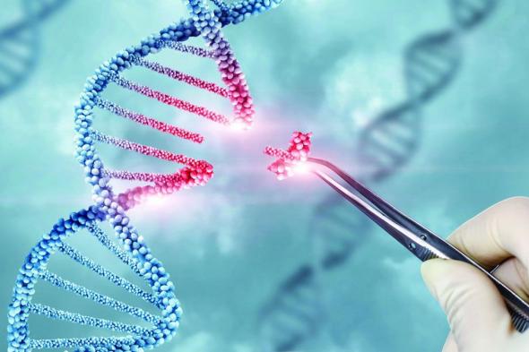 الامارات | العلاج الجيني وزراعة النخاع العظمي يقودان مستقبل علاج الثلاسيميا