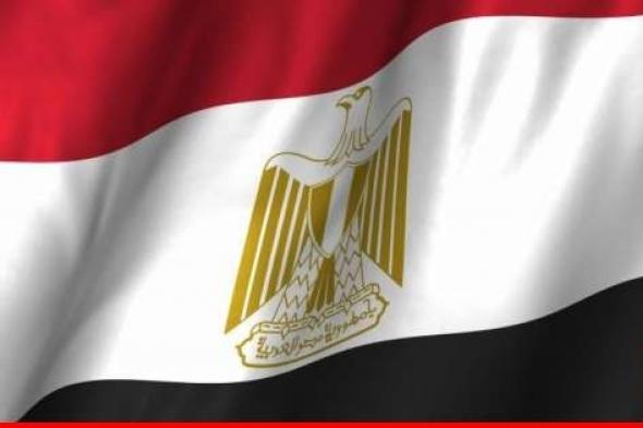 الخارجية المصرية: سنتدخل دعما لدعوى جنوب إفريقيا على إسرائيل أمام محكمة العدل الدولية