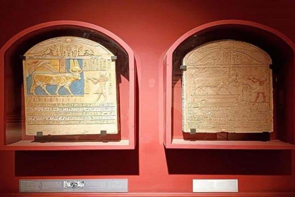 بمناسبة اليوم العالمى للمتاحف.. ننشر قائمة من 31 متحف مفتوح مجانًا للمصريين غدًا