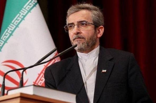 إيران: تعيين علي باقري قائما بأعمال وزير الخارجية