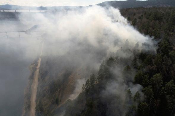 اليابان | دراسة يابانية تحذر من مخاطر تلوث الهواء القاتلة الناجمة عن حرائق الغابات في سيبيريا