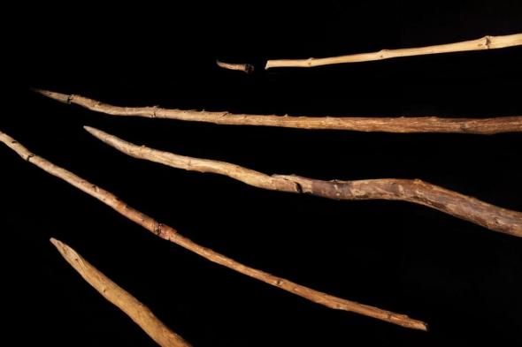 الامارات | الإنسان صنع  أسلحة قاتلة منذ 300 ألف عام